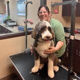 Taylor Andrews, groomer at Playful Paws Salon